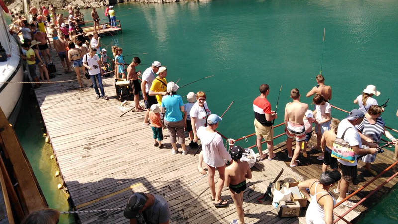 green canyon fishing trip