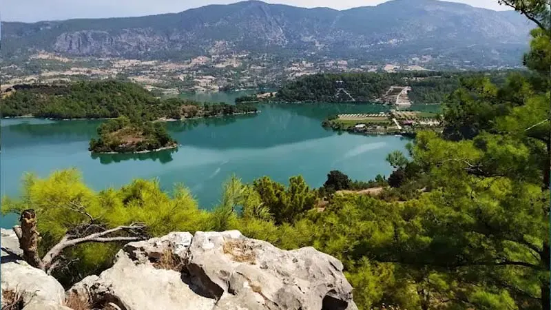 Side green canyon safari