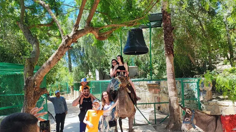 okurcalar zoo recommendation